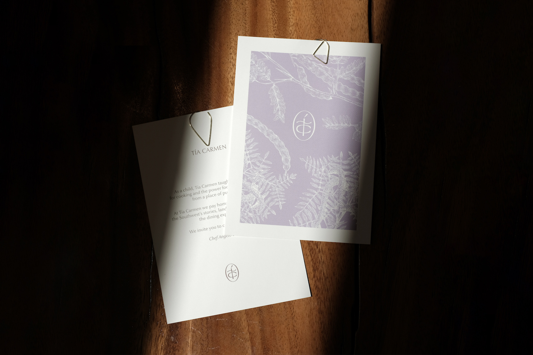 Tía Carmen print materials